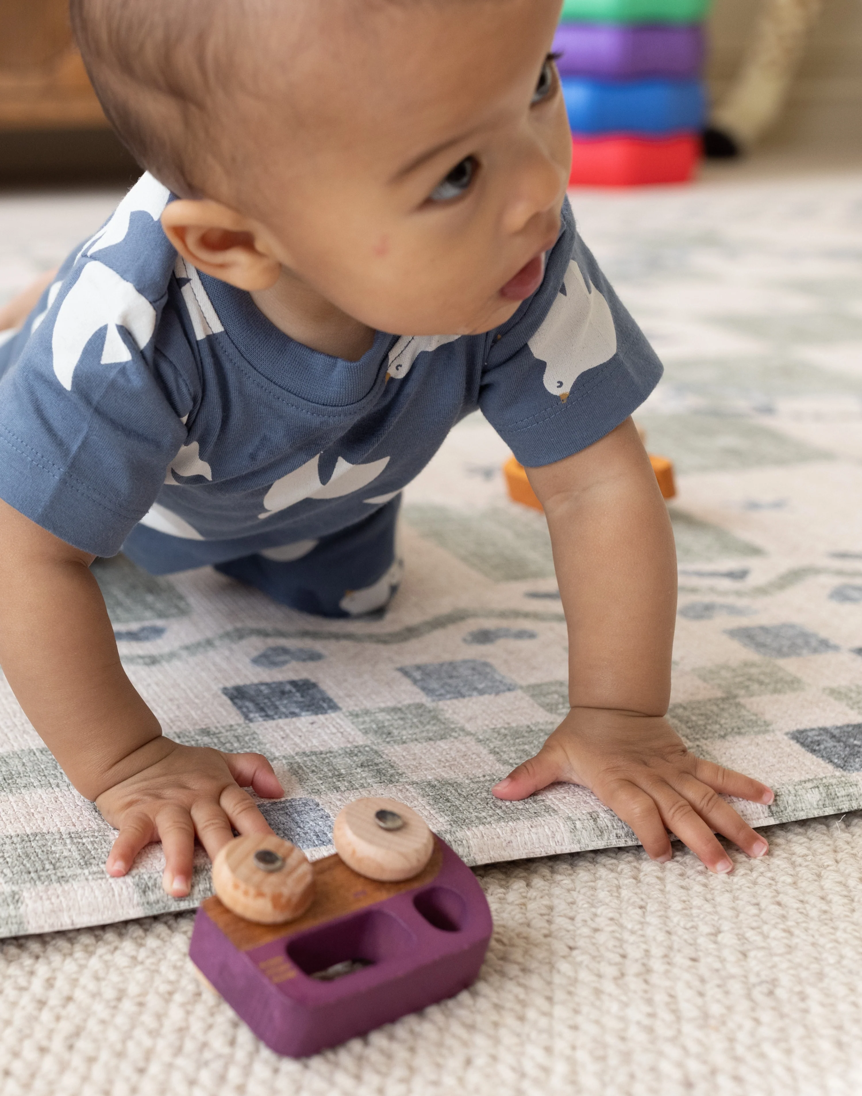 The Checker Play Mat - Image 13